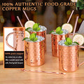 Charleston Copper Mule Mugs