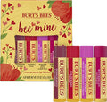 Burt's Bees Gift for Spring